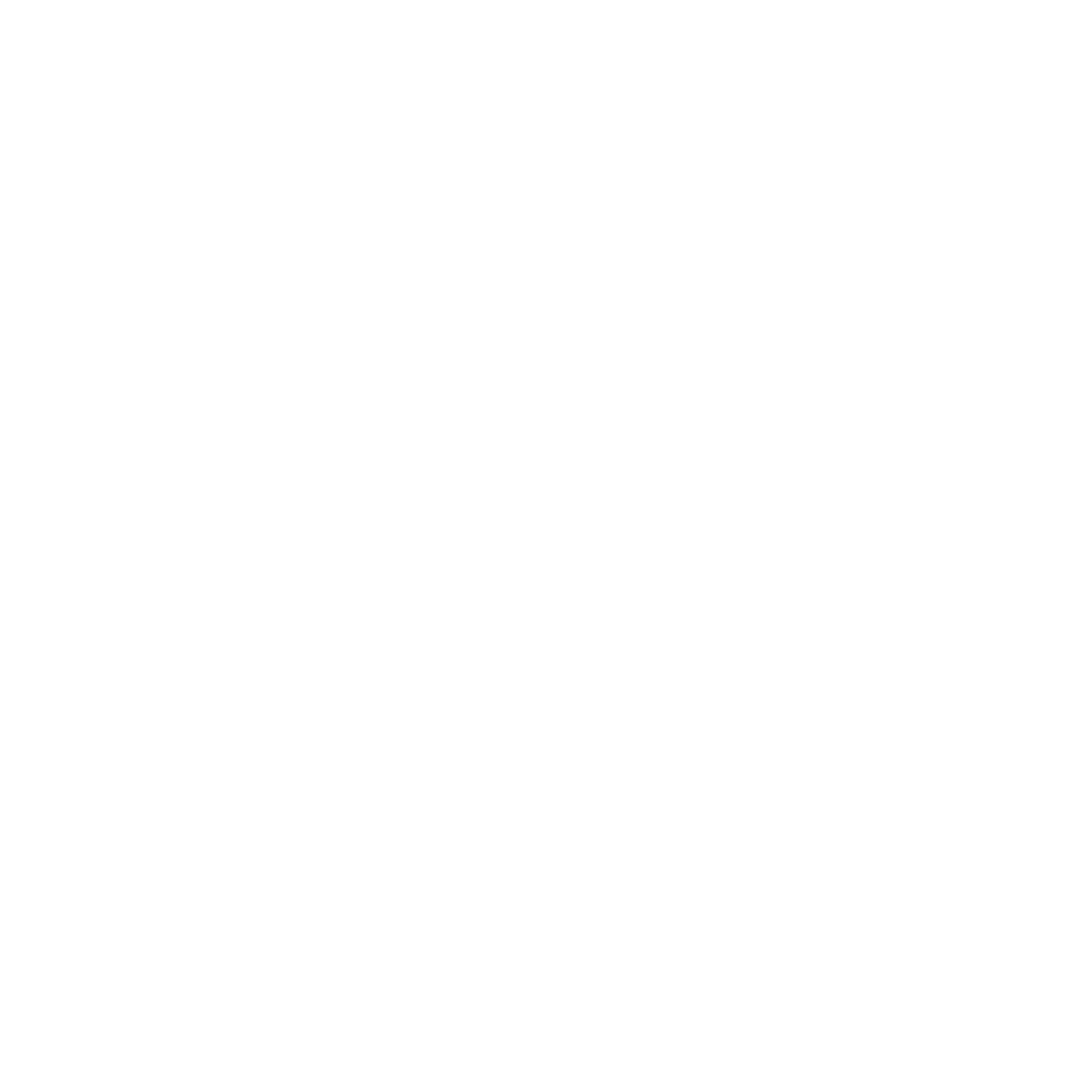 This is the City of Princeton, WV Seal. It is in white with "Incorporated February 20, 1909" located in the inner circle, and a "P" in the very center of the seal.